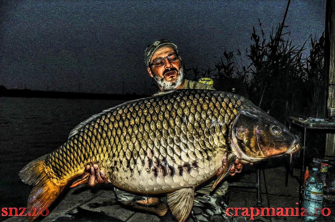 Cupa Seniorilor (2) -2013  - 1011180hdrmode2.JPG